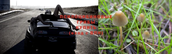 альфа пвп Володарск