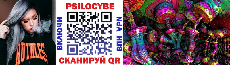 купить наркотик  Перевоз  Псилоцибиновые грибы Psilocybine cubensis 
